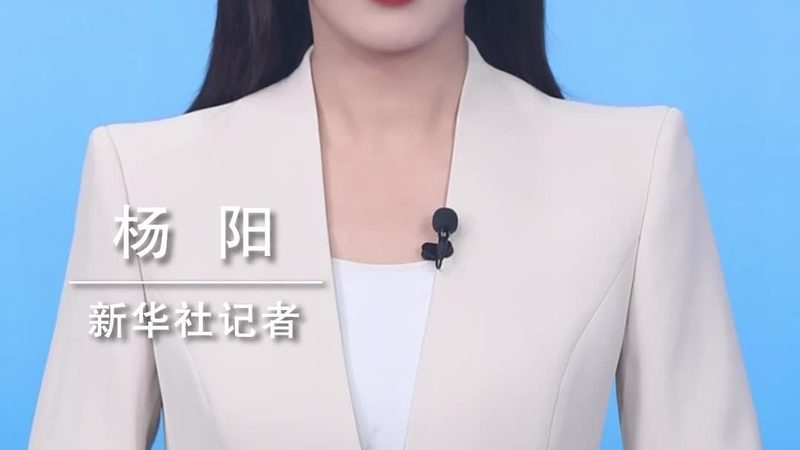 数字化改造：揭秘成功案例背后的关键要素